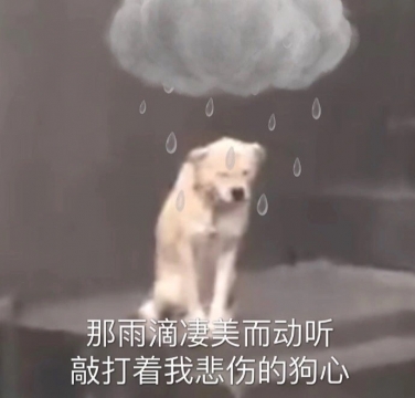 搞笑幽默表情包图片