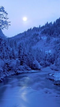 唯美冬季仙境手机壁纸