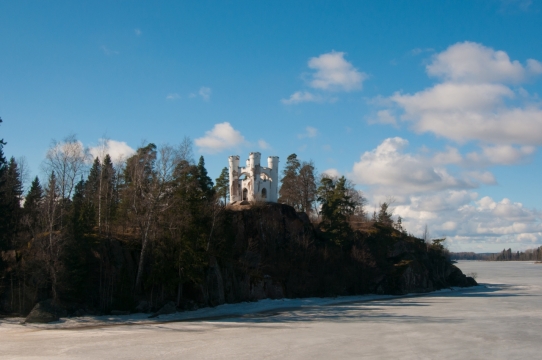 户外空旷自然林地茂密植物阳光外景