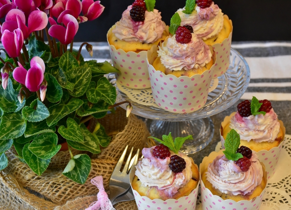奶油烘焙树莓水果蛋糕美食摄影