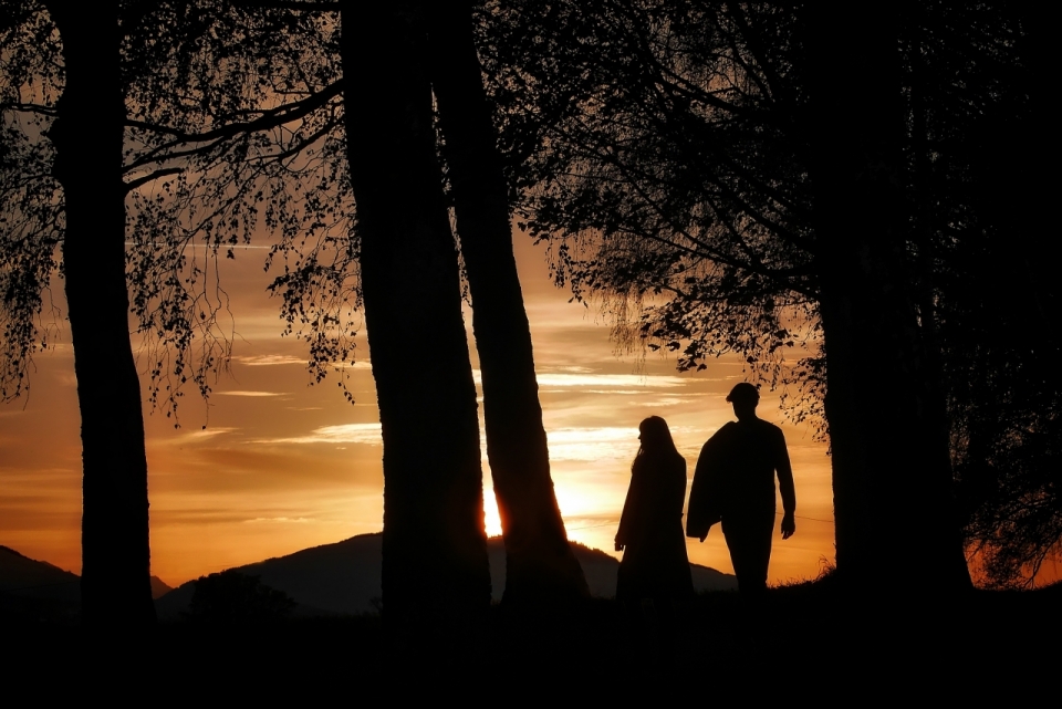 夕阳下走在树林中的情侣剪影