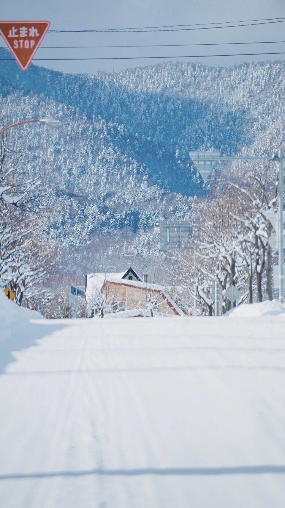 唯美雪景写真图片