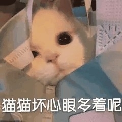 表情包