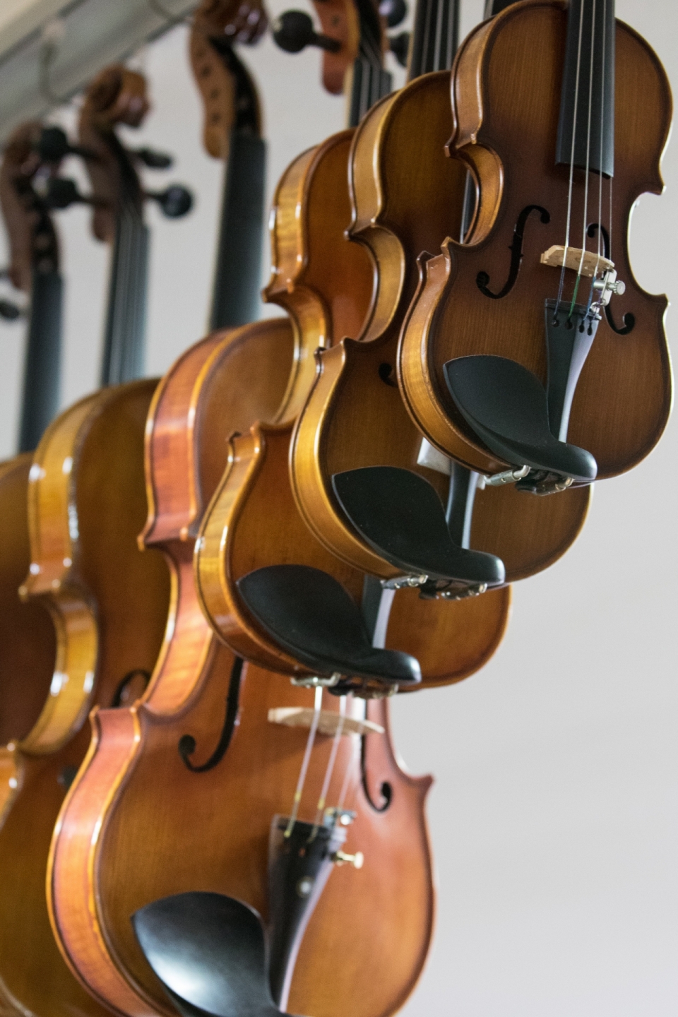 乐器行室内白色墙壁前木制小提琴乐器