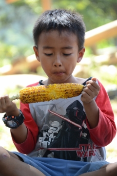 阳光户外啃新鲜烤制玉米短发男孩