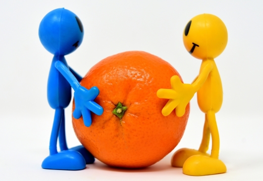 白色背景彩色模型抱新鲜美味橙子