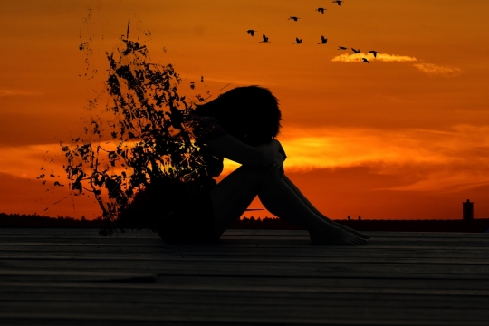 夕阳下天空飞翔大雁外景拍摄