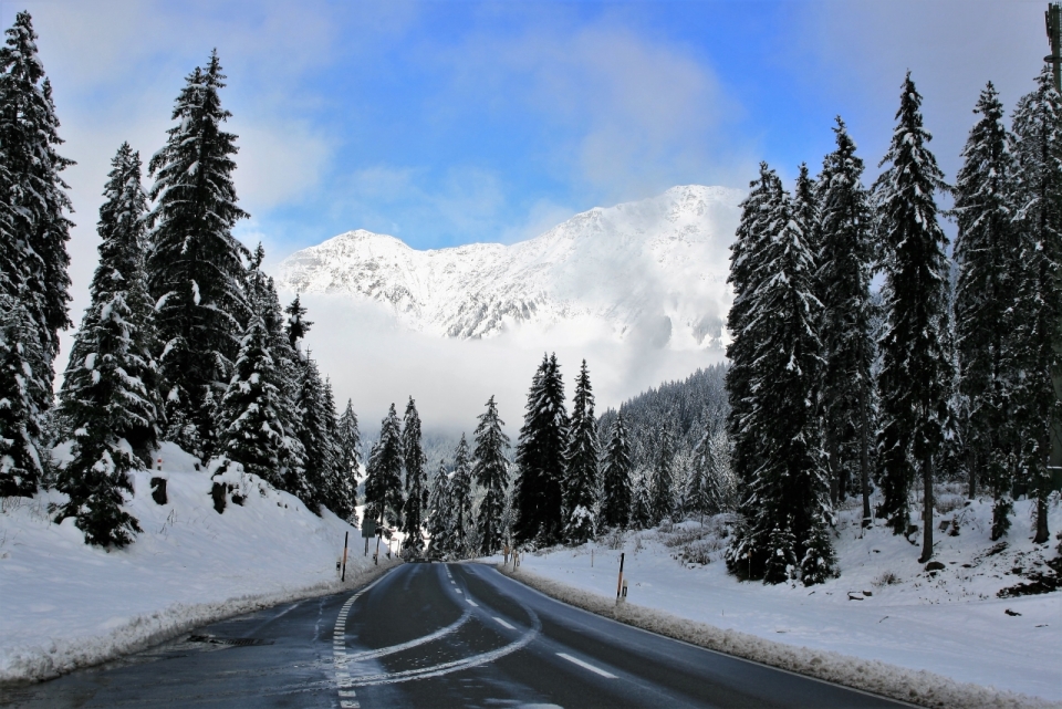 蓝天白云下通往雪山的道路摄影