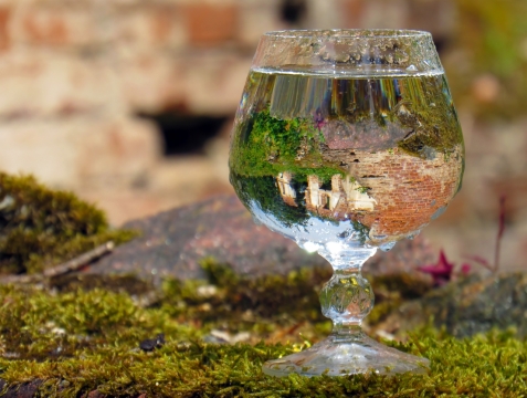 背景虚化长满青苔石头上放了杯水