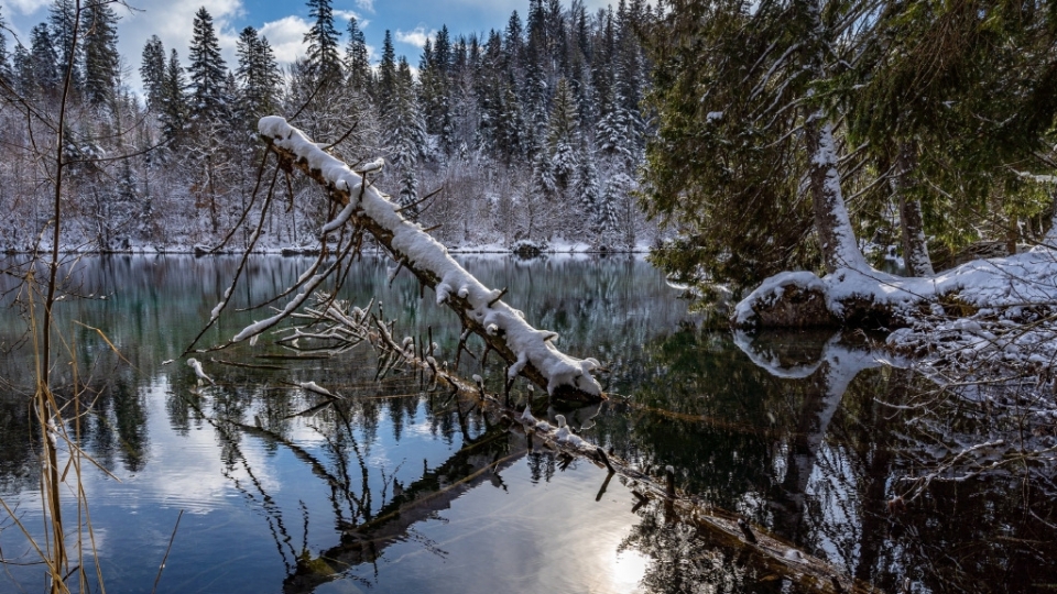 唯美冬天雪景高清桌面壁纸