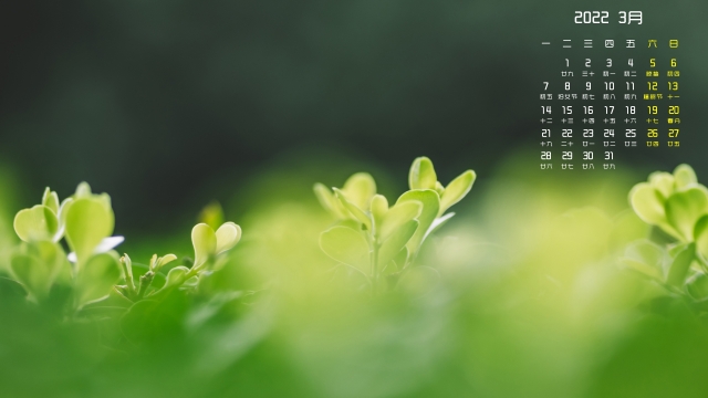 2022年3月清新护眼高清桌面壁纸