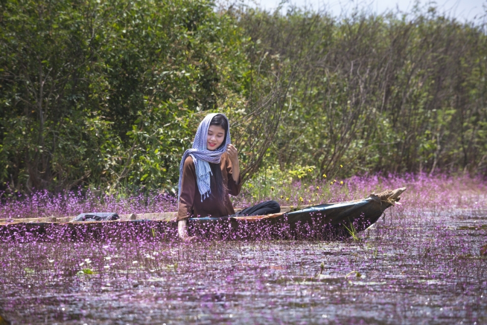 美丽小河中划船紫色花朵美景