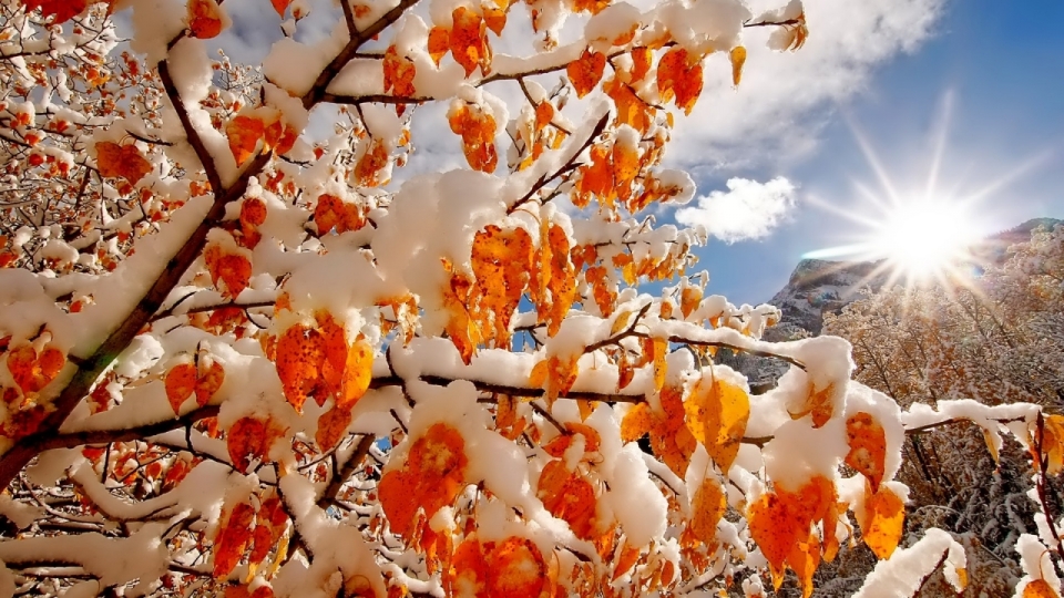 唯美高清冬日雪景图片