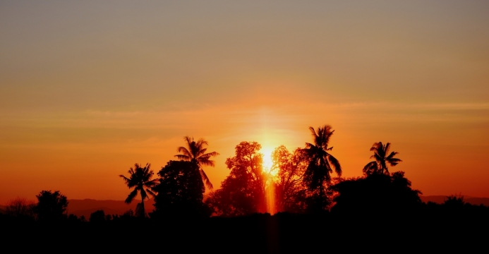 热带丛林茂密绿植夕阳落日光影美景