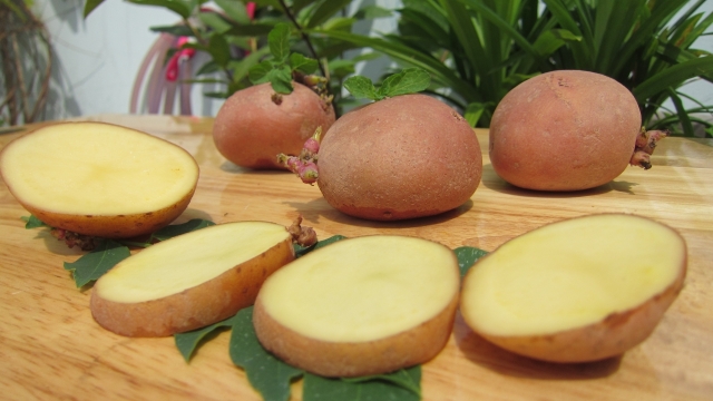 木桌上绿色植物前切开的马铃薯摄影