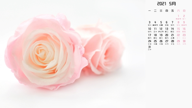 2021年5月玫瑰花高清日历桌面壁纸