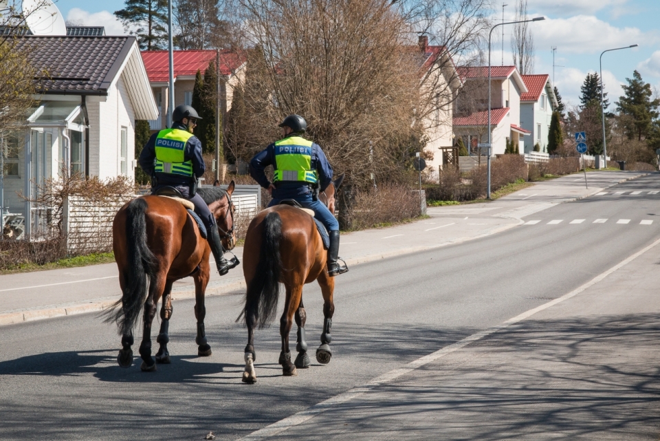 骑马行走在街道上的巡警街拍