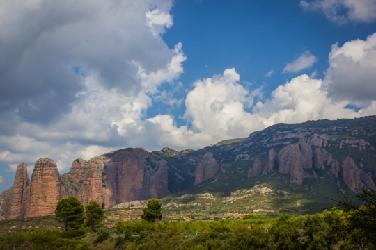 郊外碎石山坡灌木丛植物风景