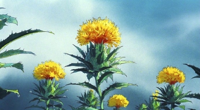 宫崎骏动画里的花写真图片