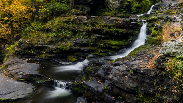 森林深处的小溪流水高清桌面壁纸