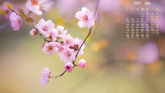 2021年4月桃花高清桌面日历壁纸