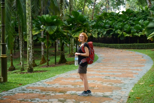 夏天自然树木公园短发背包女性