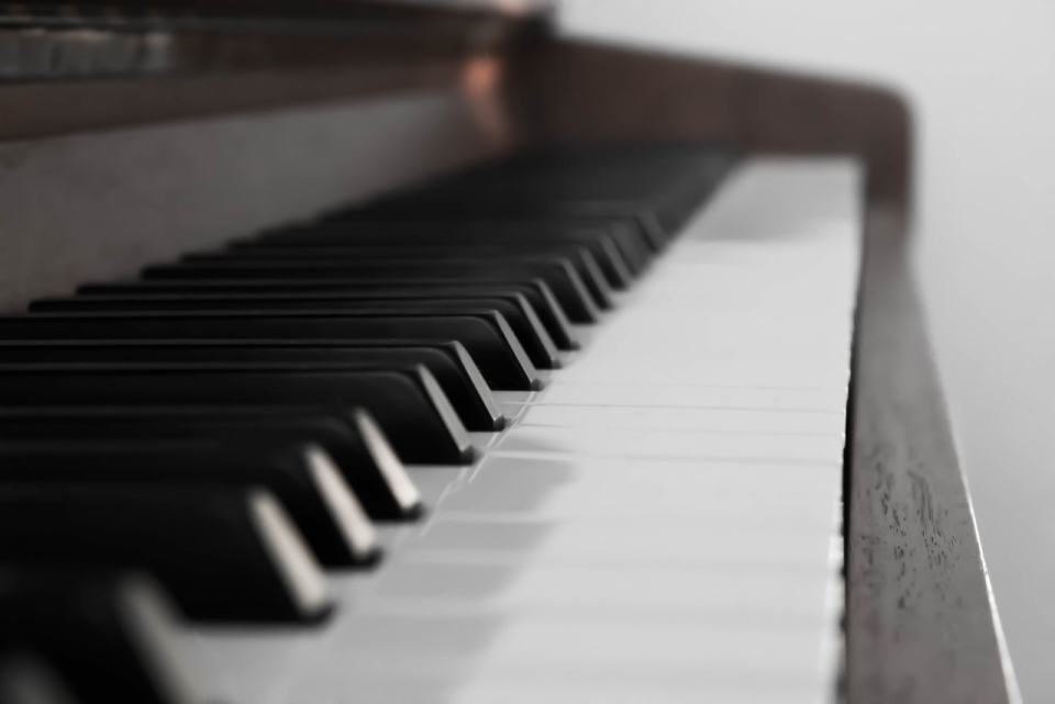 钢琴上的黑白键微距柔光虚拟摄影