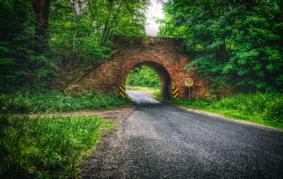 绿色森林路边桥洞风景