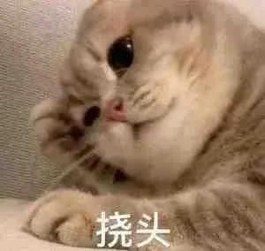 搞笑幽默表情包图片