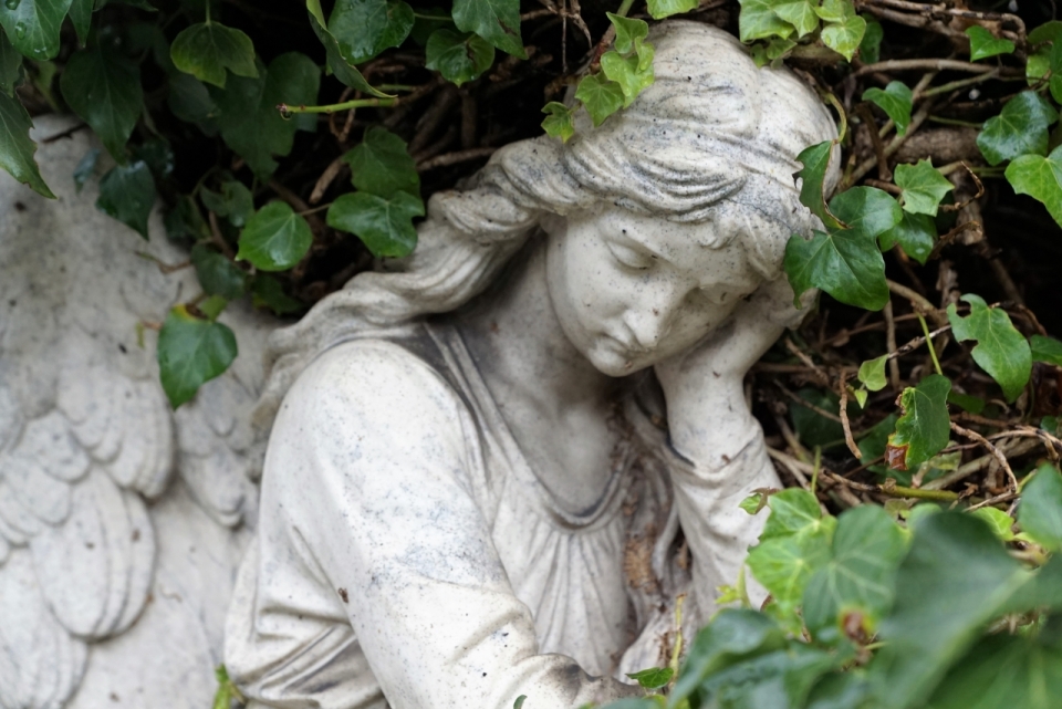 在树草边休息的天使雕塑石像摄影