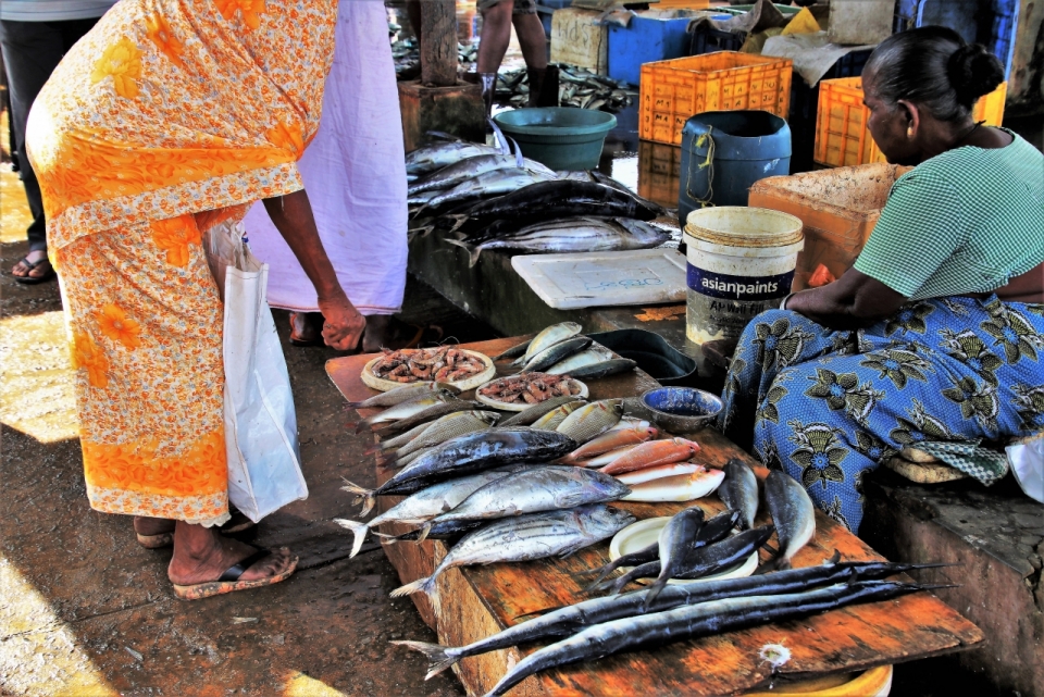 农贸市场摊位堆放海鲜鱼类街拍