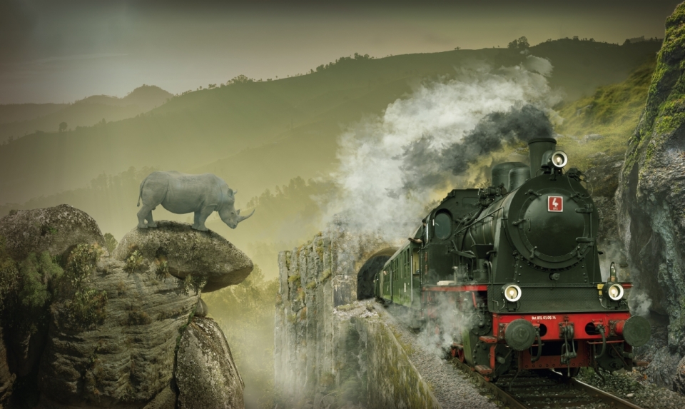 山间穿行的蒸汽火车和悬崖上的犀牛