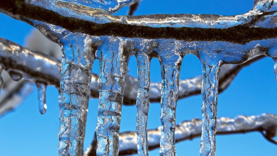 寒冷的冰雪霜冻无水印电脑桌面高清壁纸图片