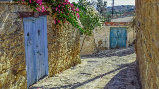 城市街道小路花朵石质墙壁建筑