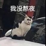 搞笑幽默表情包图片