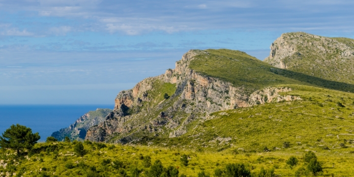 山崖上遍布绿植草地海岸风光