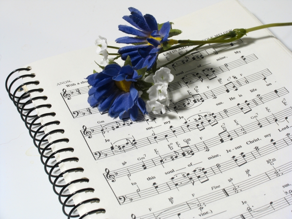 白色桌子上的乐谱和蓝色花朵静物摄影