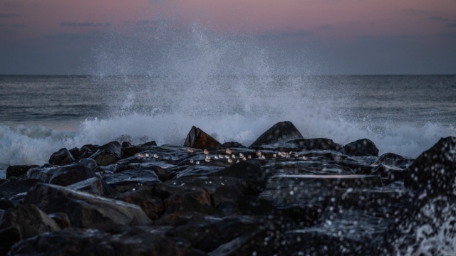 波澜壮阔的海浪拍打着礁石自然风光高清壁纸
