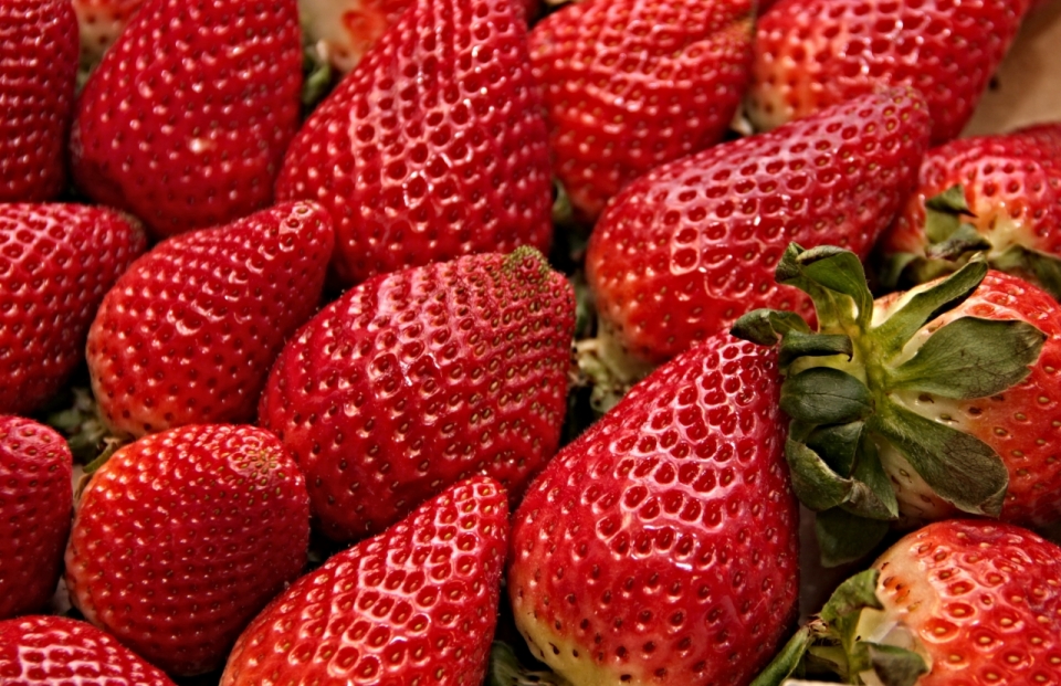 碗中饱满红色草莓果实摆拍