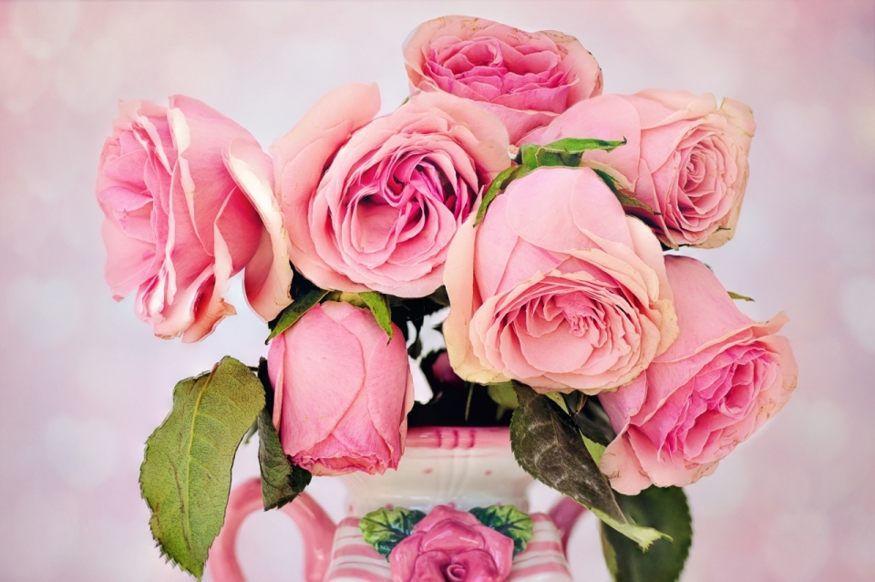 梦幻背景花瓶中粉色花朵玫瑰植物