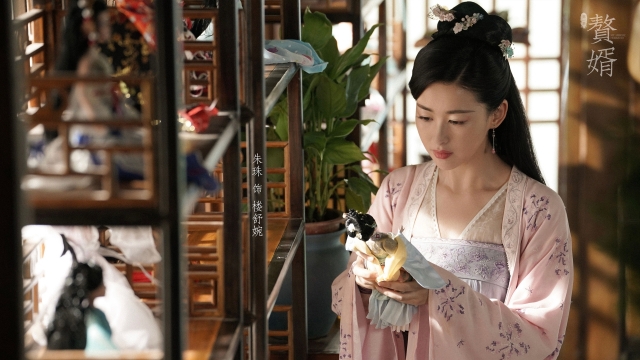 赘婿朱珠高清桌面壁纸