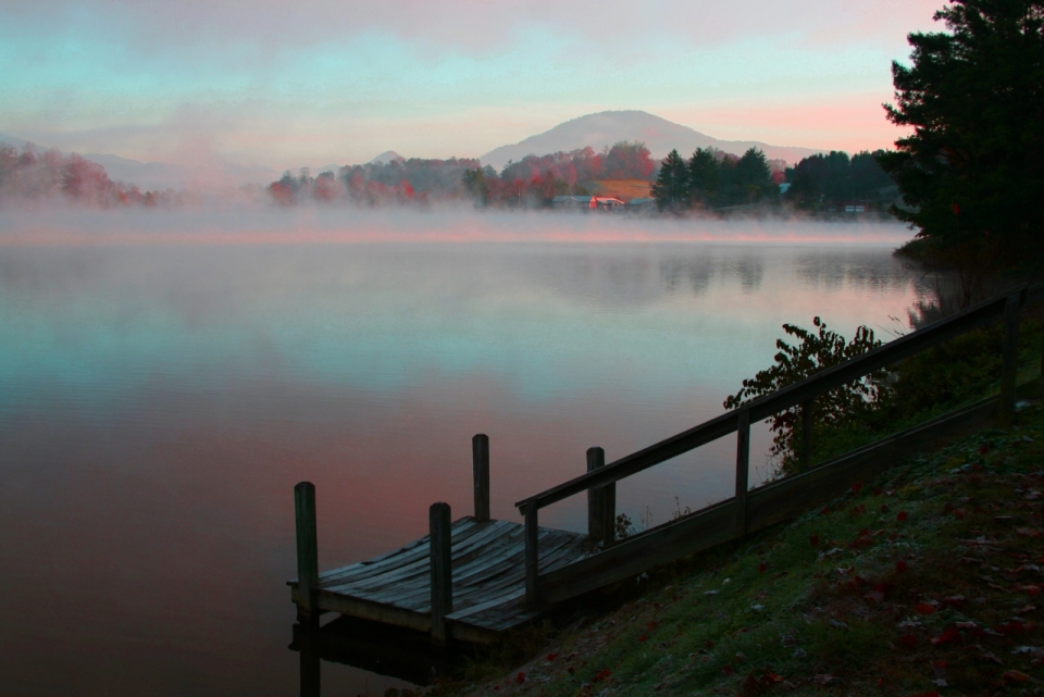 宁静森林边雾气缭绕湖面清冷风景