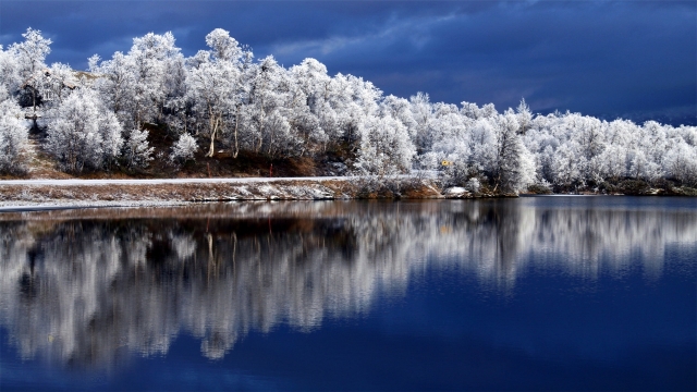 雾凇仙境美景高清桌面壁纸