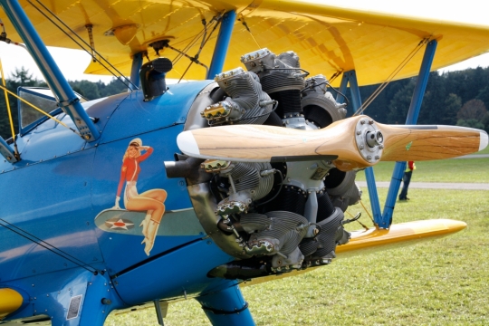 茂密林边草地停放飞机螺旋桨近距离特写