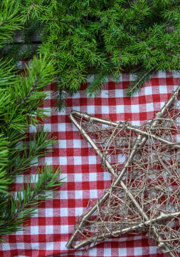格子布上金属星形装饰绿色植物