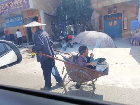 老年人的唯美浪漫爱情写真图片