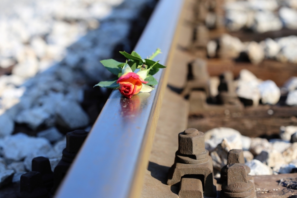 一朵躺在铁轨上的玫瑰花静物摄影