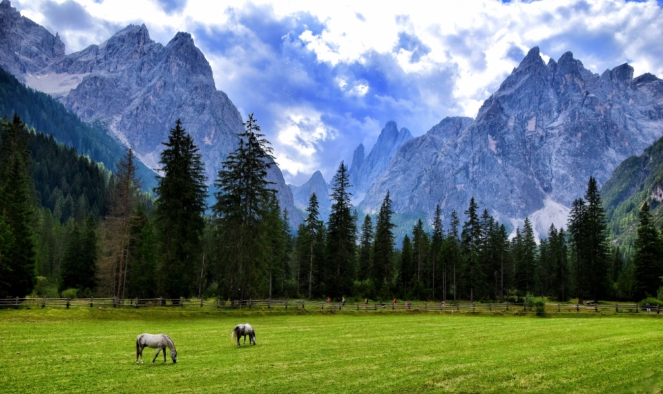 风景摄影_雪山草场户外清新风光美景