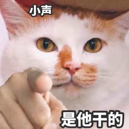 猫猫搞笑表情包图片