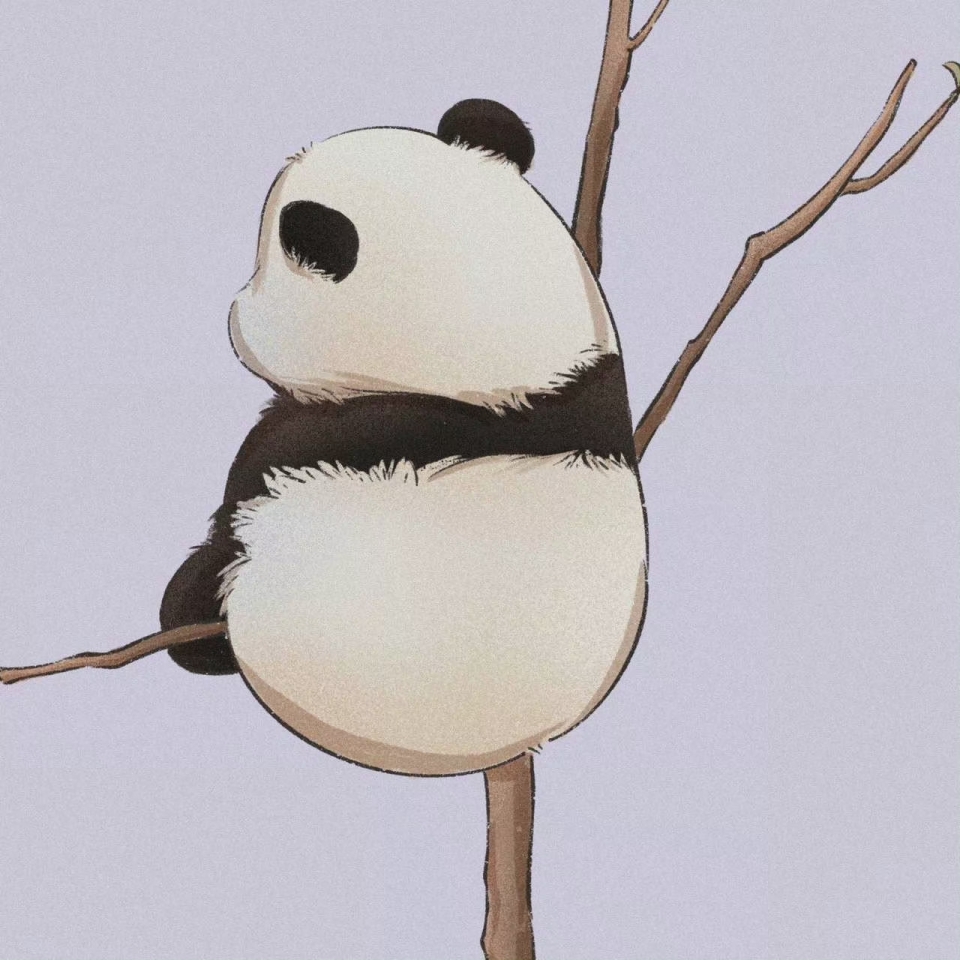 圆滚滚的熊猫写真图片